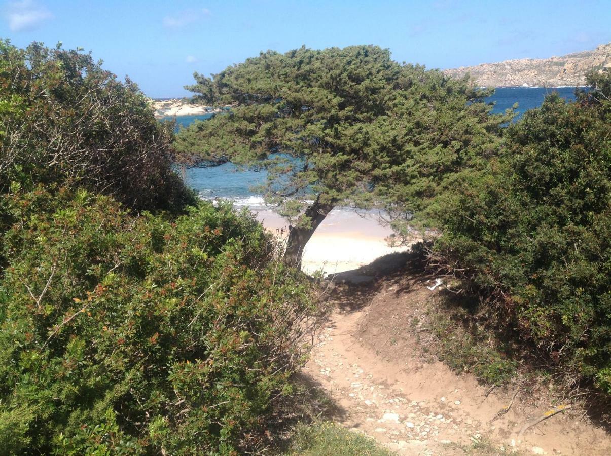 Stella Maris Daire Santa Teresa Gallura Dış mekan fotoğraf