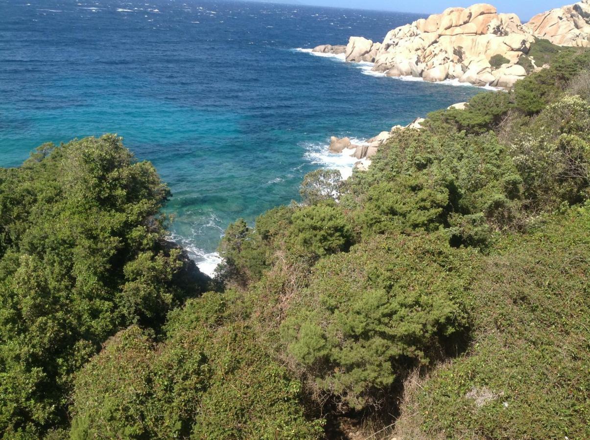 Stella Maris Daire Santa Teresa Gallura Dış mekan fotoğraf